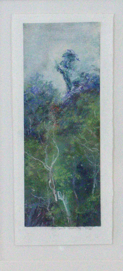 Rainforest, Cairns NQ