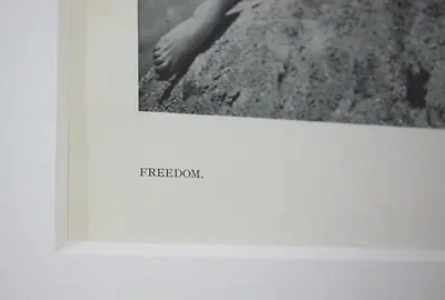 Freedom