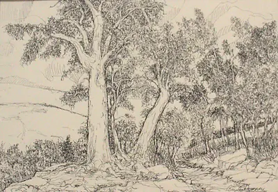 Untitled Landscape