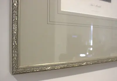 The Model
