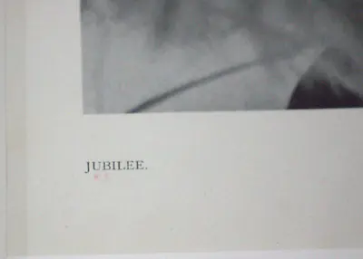 Jubilee
