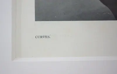 Curves